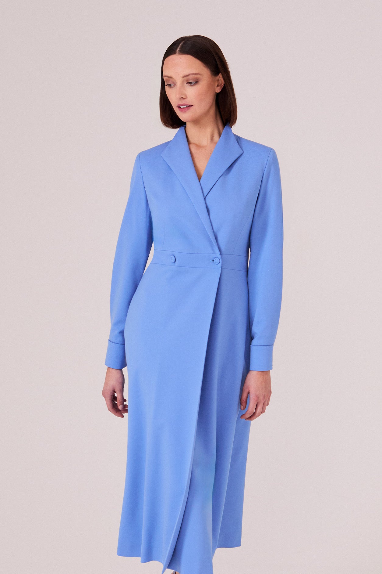 Double Breasted, Long Sleeved Coat Dress with Buttons in China Blue Wo –  Lalage Beaumont