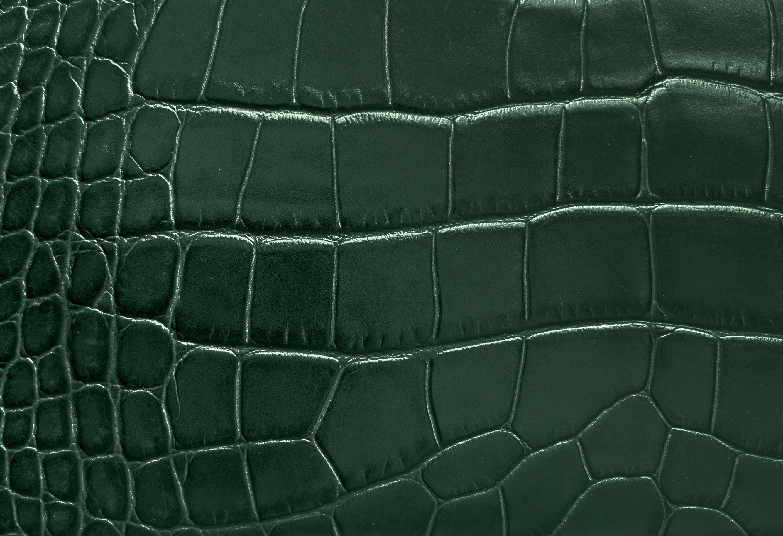 Maya Mignon 'Croc' Print Handbag Dark Green | Lalage Beaumont