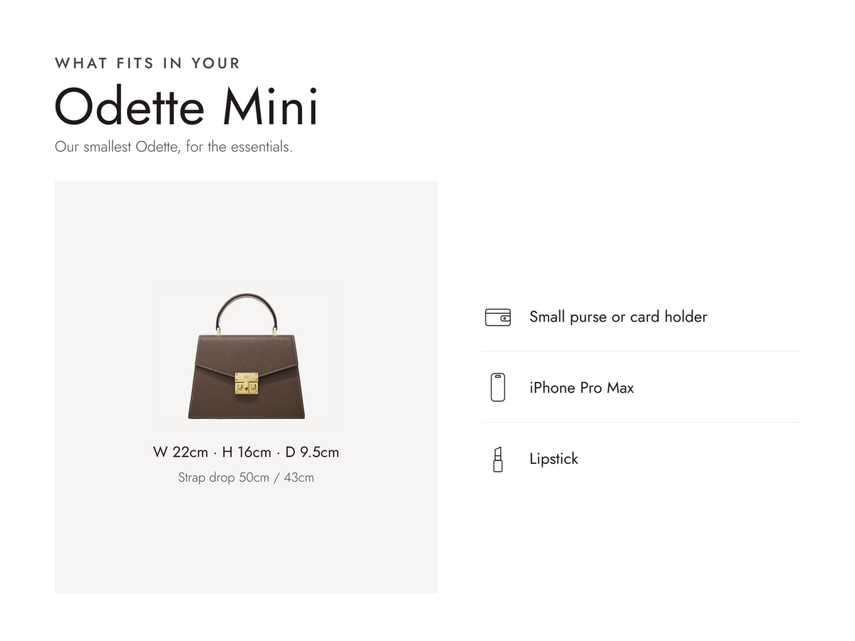 Lalage Beaumont Odette Mini handbag in taupe pebble print leather, what fits and measurements